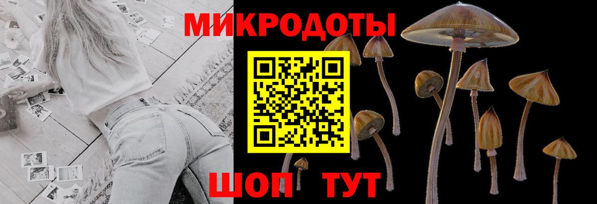 Галлюциногенные грибы ЛСД  Псилоцибиновые грибы Magic Shrooms  Вход с VPN  Элиста 